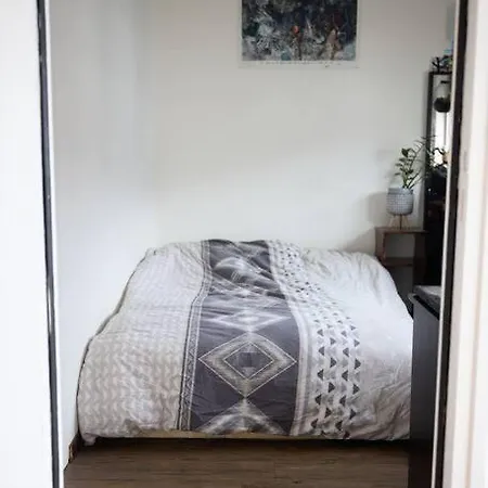 Luxury Centric Flat In